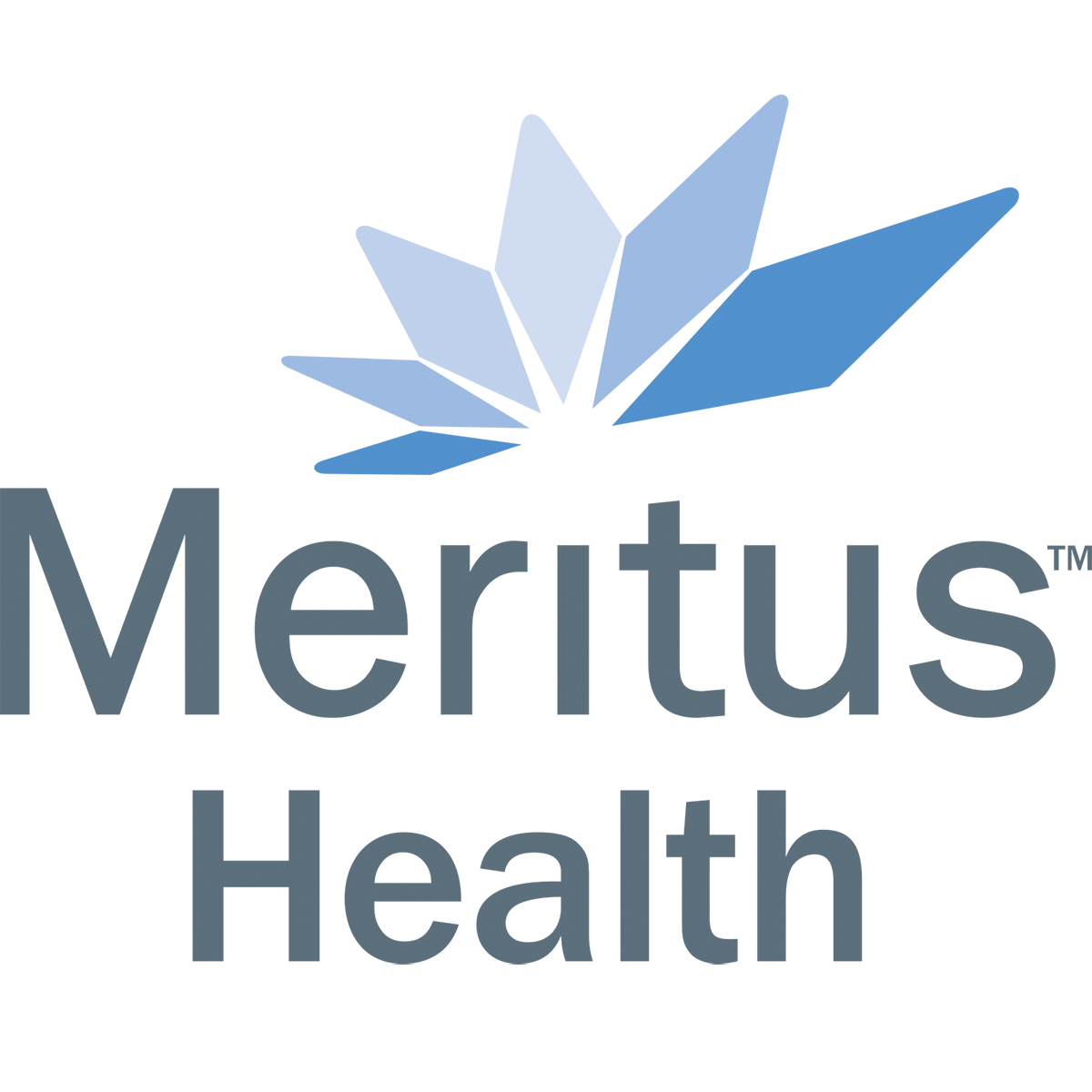 MeritusHealth